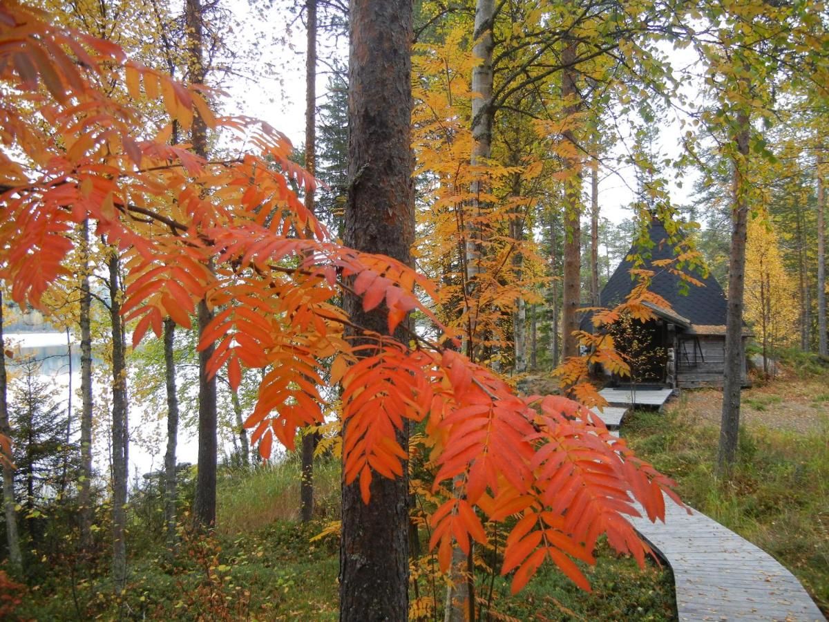 Отель Wilderness Hotel Kuusamo Kiviperä-16