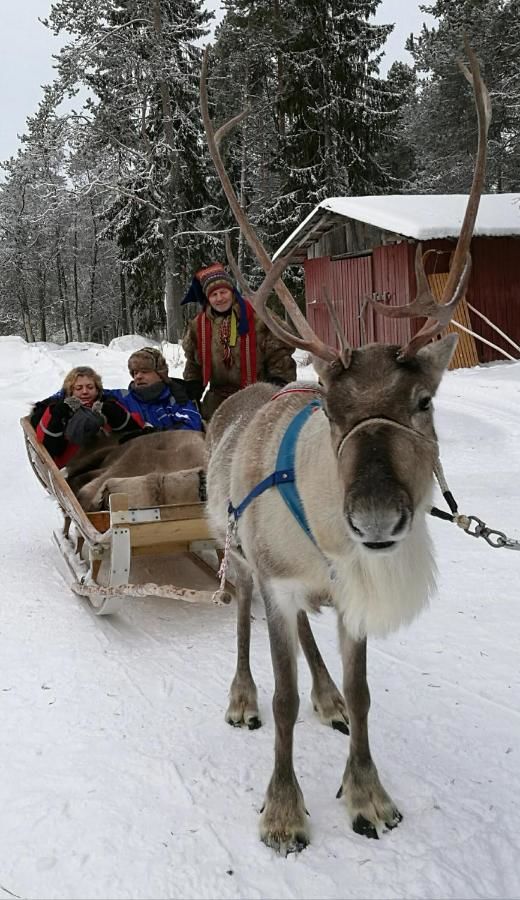 Отель Wilderness Hotel Kuusamo Kiviperä-20